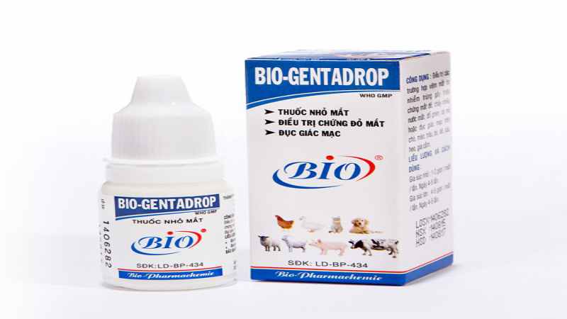 Bio-Gentadrop được xem là “thần dược" cứu chữa mắt gà hiệu quả